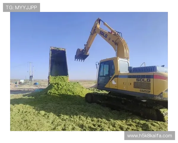 凯发K8旗舰厅登录线路引入先进技术确保平台全天候稳定运行 凯发K8旗舰厅登录线路引入先进技术确保平台全天候稳定运行