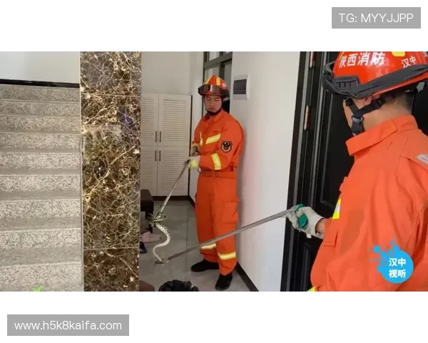 凯发滚球安全保障措施详解确保玩家资金与信息安全 凯发滚球安全保障措施详解确保玩家资金与信息安全