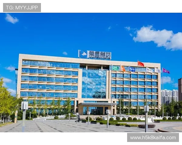 凯发集团网站官网安全保障措施全面解析，保障用户资金与信息安全的最佳实践