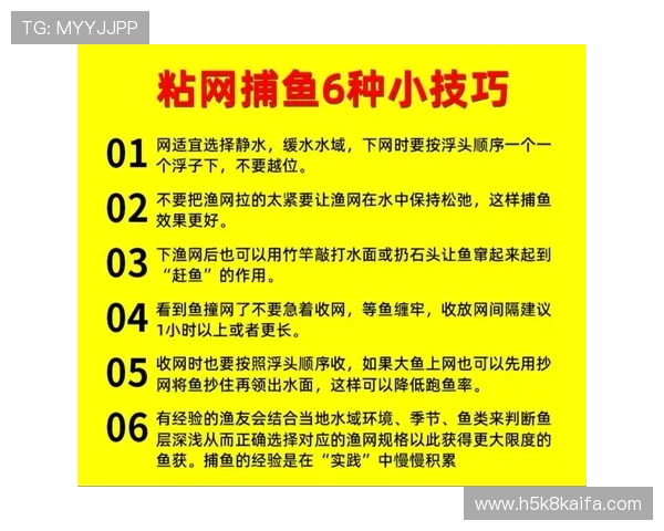 在K8捕鱼网投中如何快速注册账号与新手入门攻略